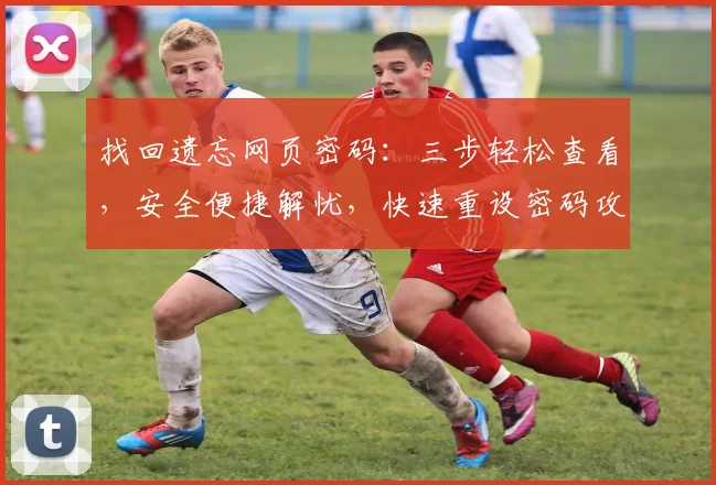 找回遗忘网页密码：三步轻松查看，安全便捷解忧，快速重设密码攻略，一网打尽