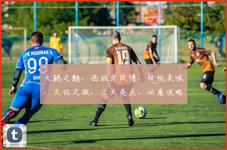 火腿之魅，西班牙风情，传统美味，文化之旅，三大亮点，必看攻略，不可错过