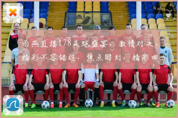 雨燕直播178足球盛宴，激情对决，精彩不容错过，焦点时刻，精彩回放，不容错过