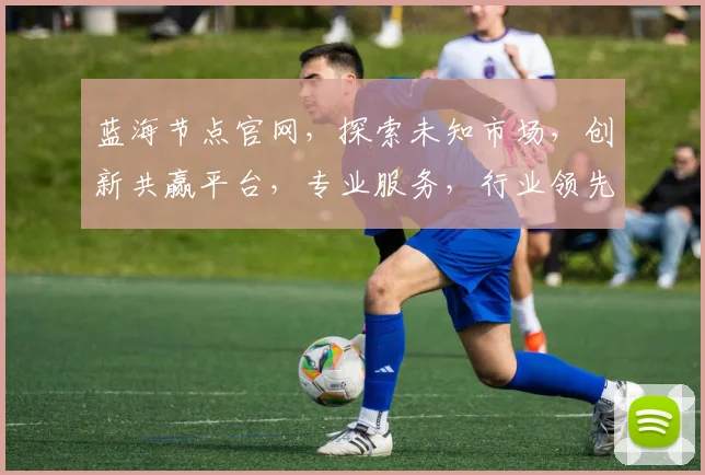 蓝海节点官网，探索未知市场，创新共赢平台，专业服务，行业领先，值得信赖，一站式解决方案。