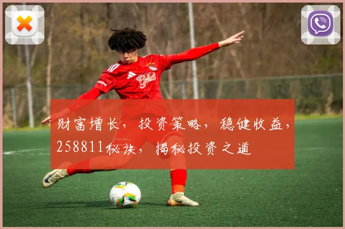 财富增长，投资策略，稳健收益，258811秘诀，揭秘投资之道